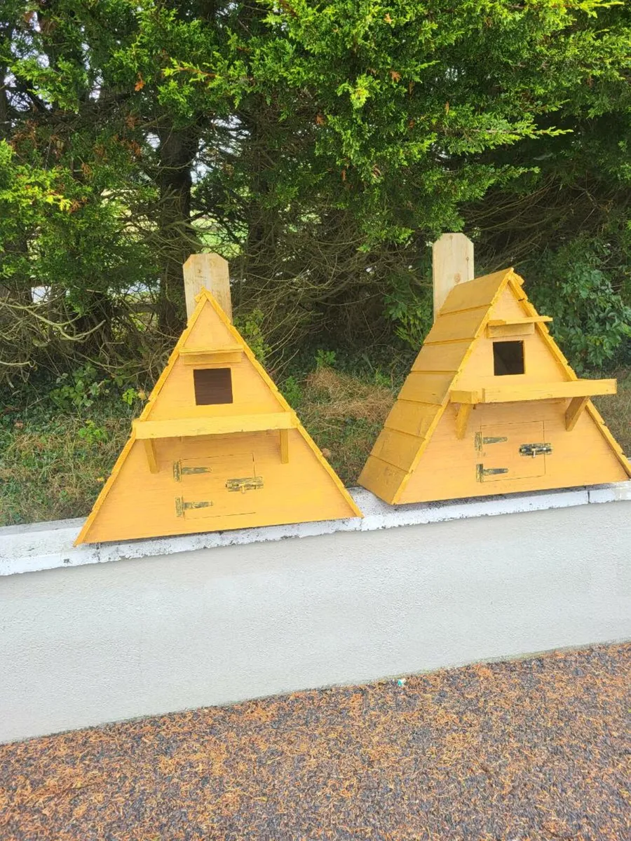 Owl Boxes - Image 4
