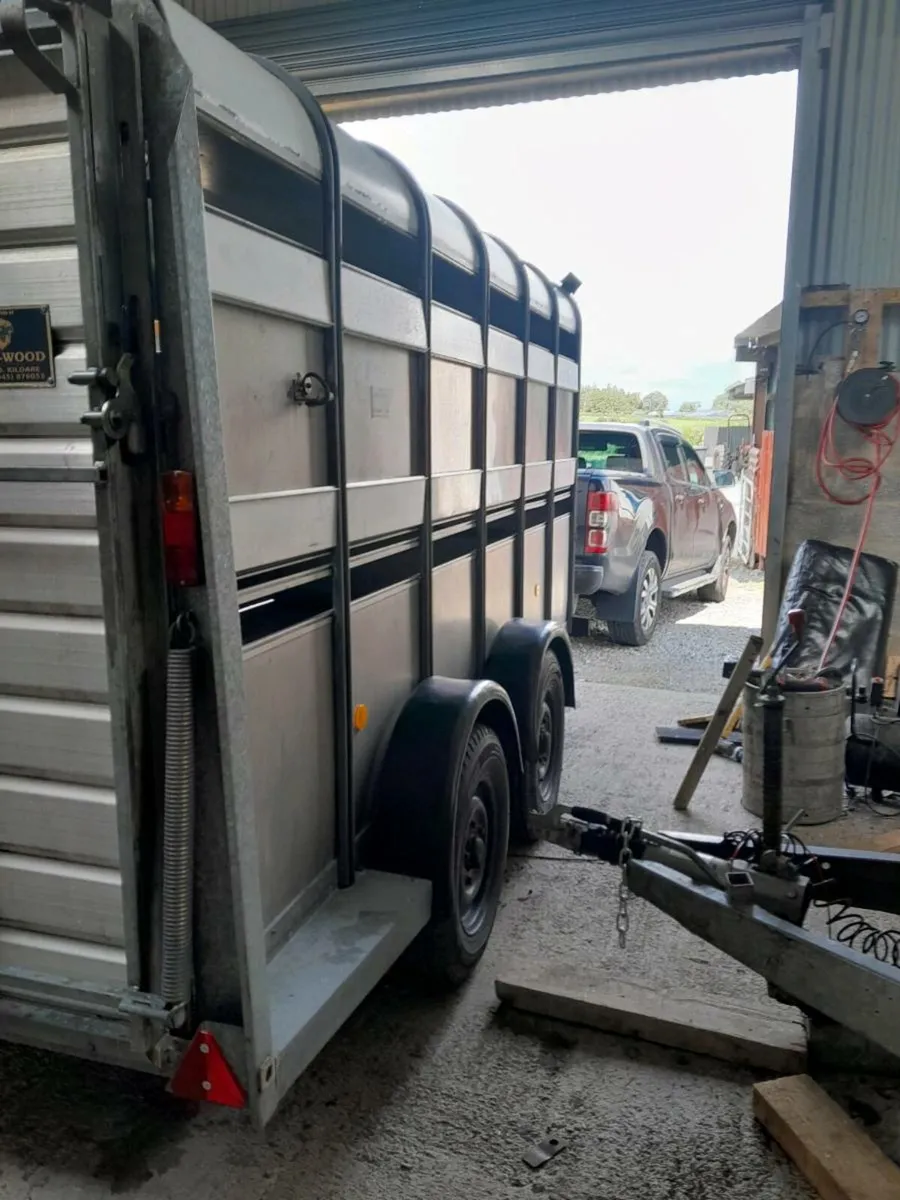 Wanted Ifor  williams cattle trailer 12by5ft10 - Image 3