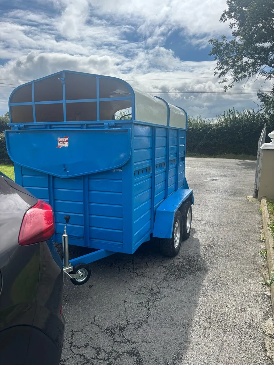8foot Stanley trailer - Image 3