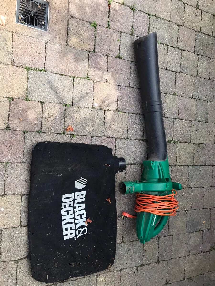 Black &Decker Master vac
