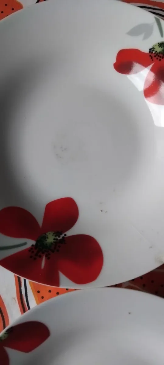 Free dinner plates - Image 1