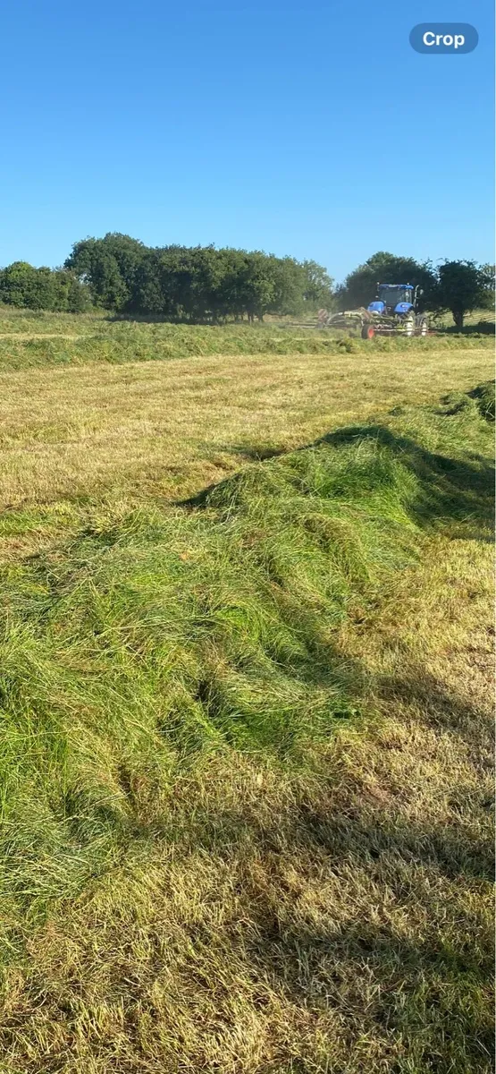 Silage for sale.