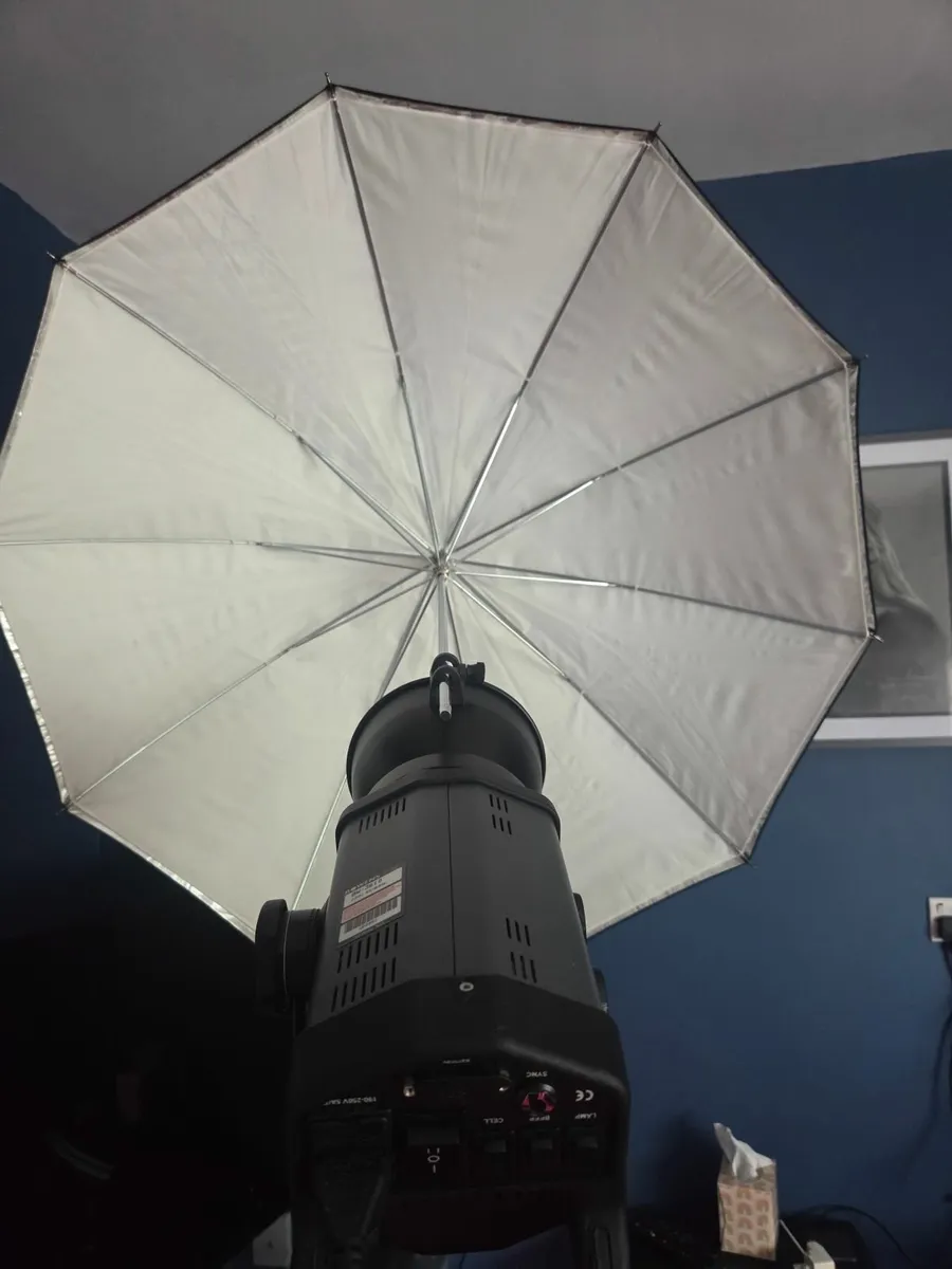Photography Lights & Backdrop - Image 3