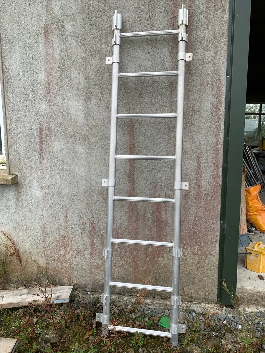 Alloy ladder