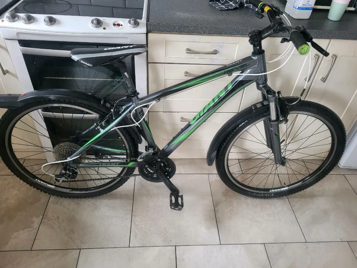Bike giant - Image 1