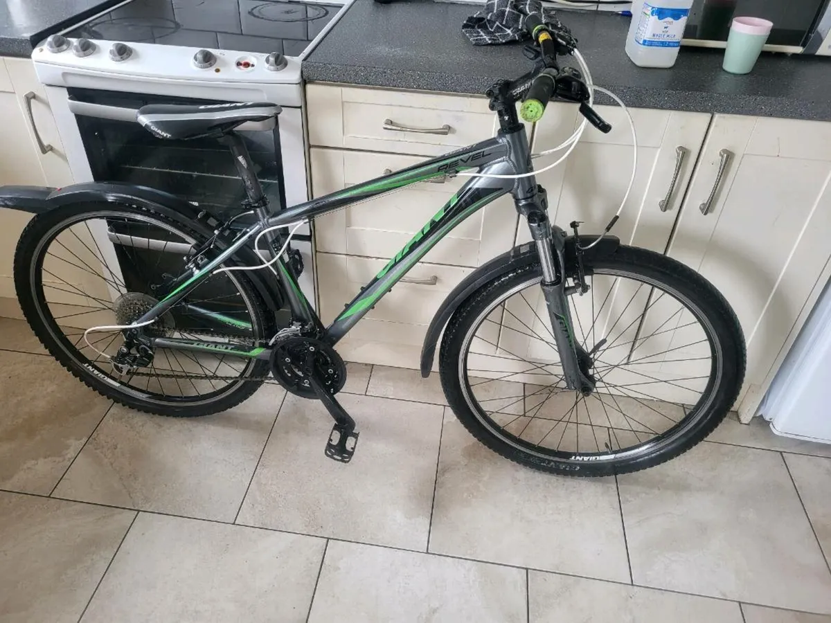 Bike giant - Image 3