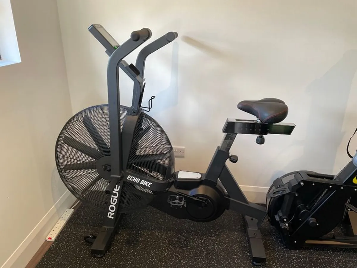 Rogue Echo Bike V3.0 + Accessories + Weights Bench - Image 2
