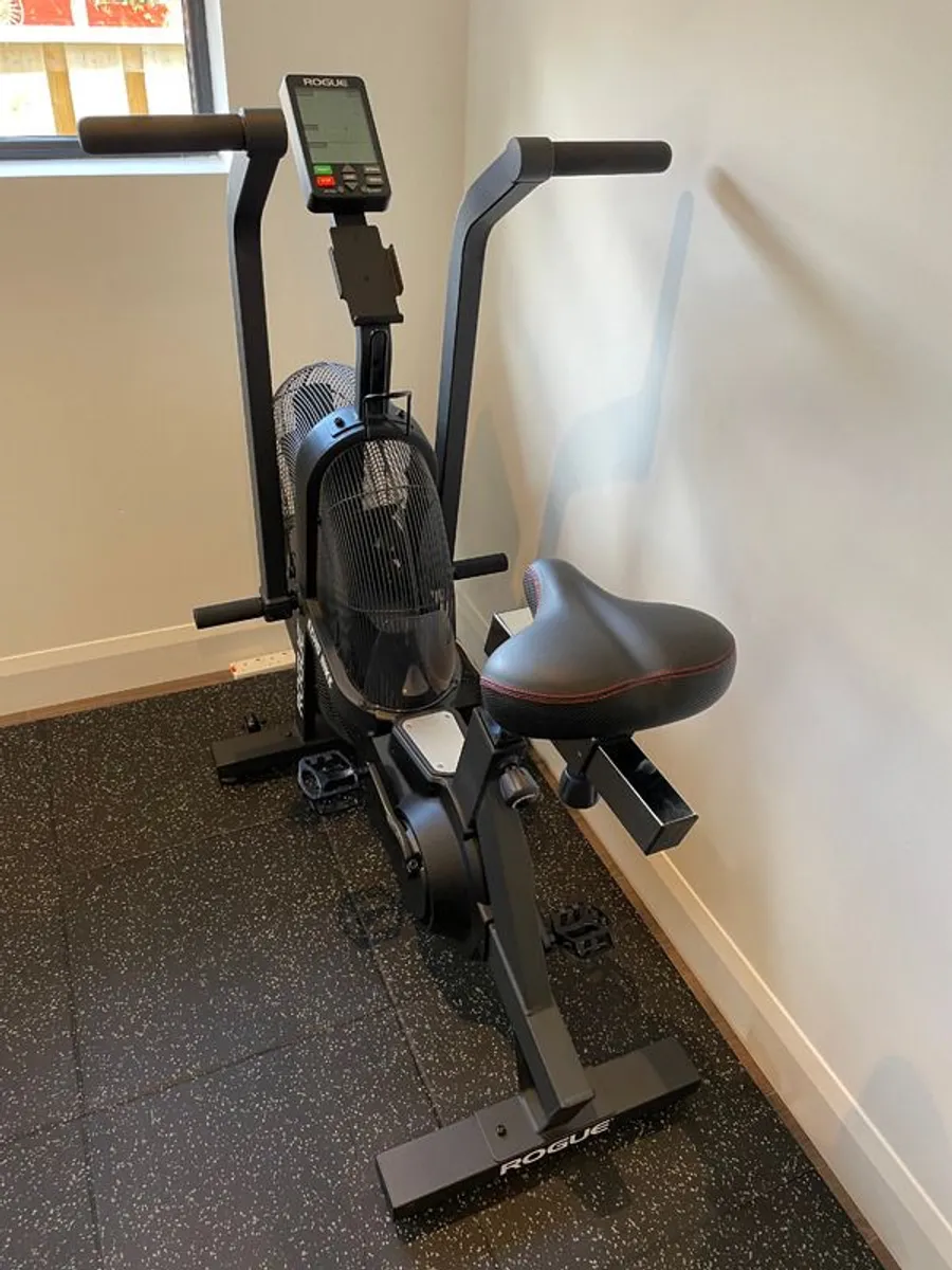 Rogue Echo Bike V3.0 + Accessories + Weights Bench - Image 3