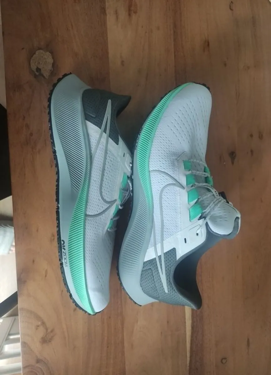 Nike trainers air zoom Pegasus 38 - Image 1
