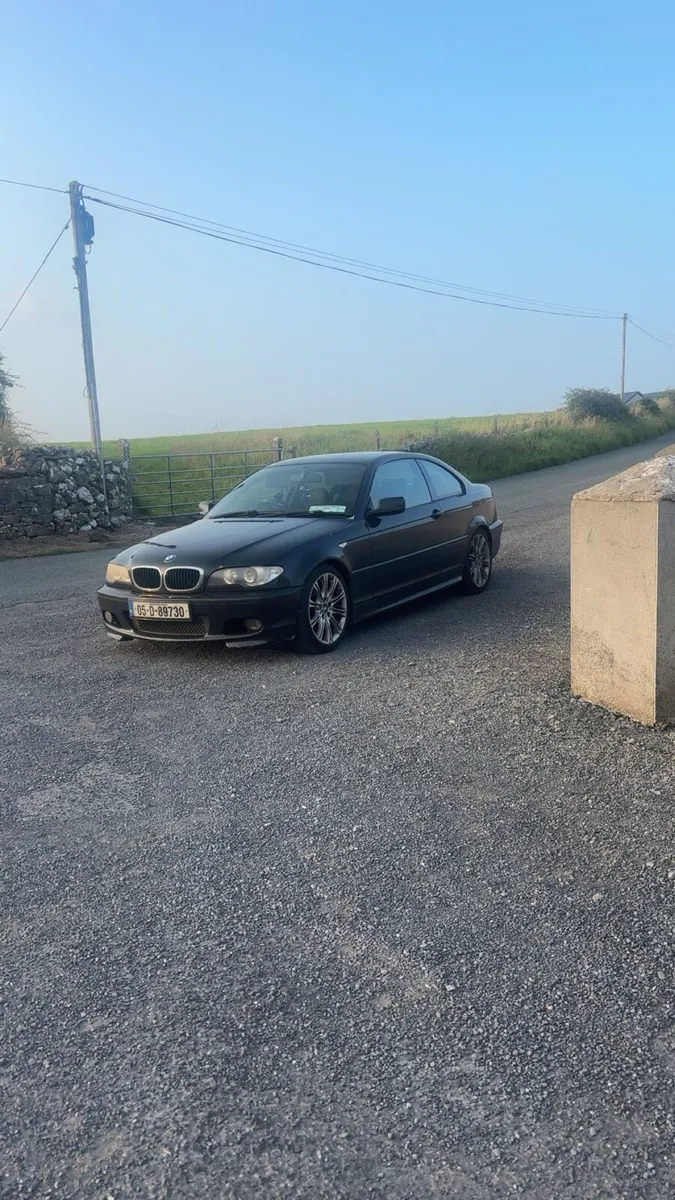 E46 320d - Image 2