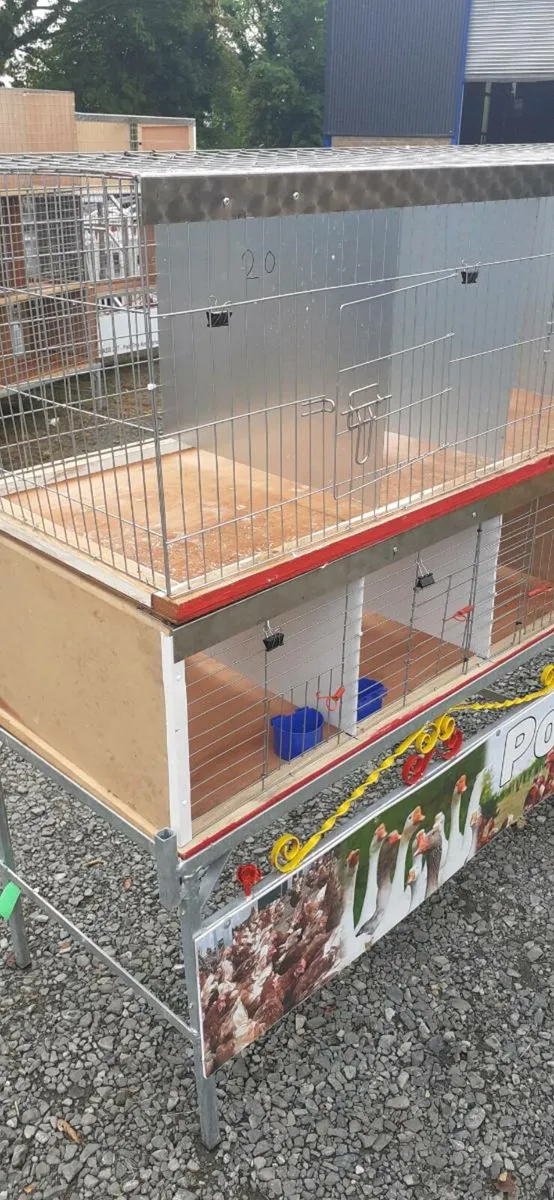 Poultry cages - Image 2