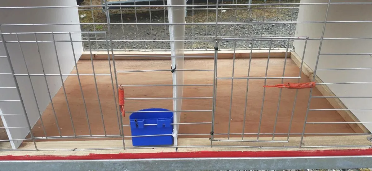 Poultry cages - Image 3