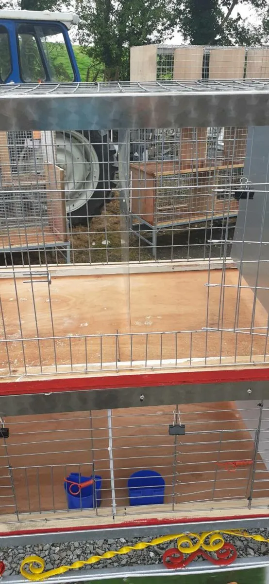 Poultry cages - Image 4