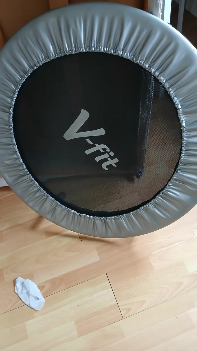 Mini Trampoline - Image 1