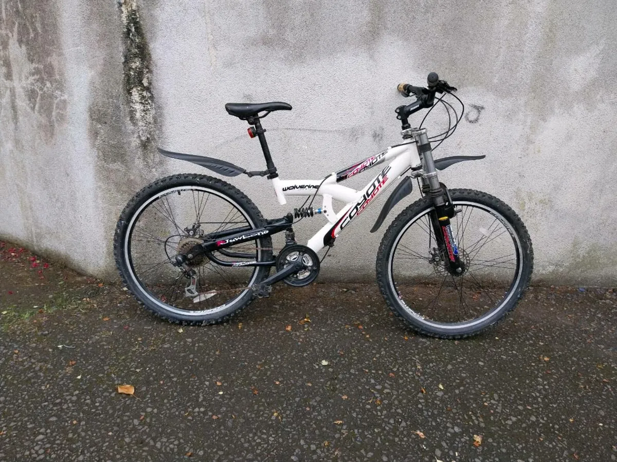 Mens Mountain bike - Image 1