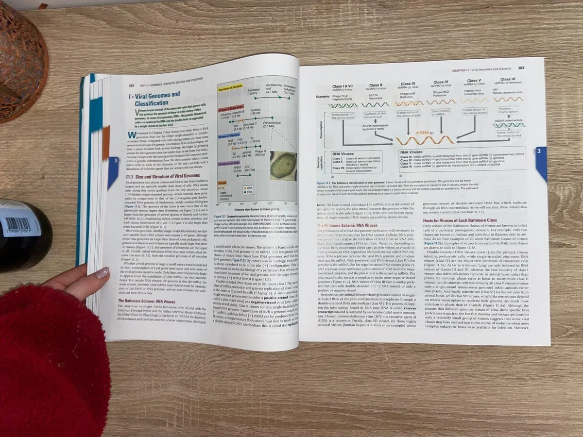 Brock Microbiology Book 16th Ed - Image 3