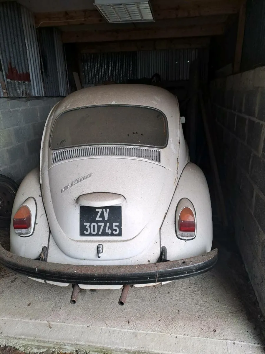 VW Beetle - Image 1