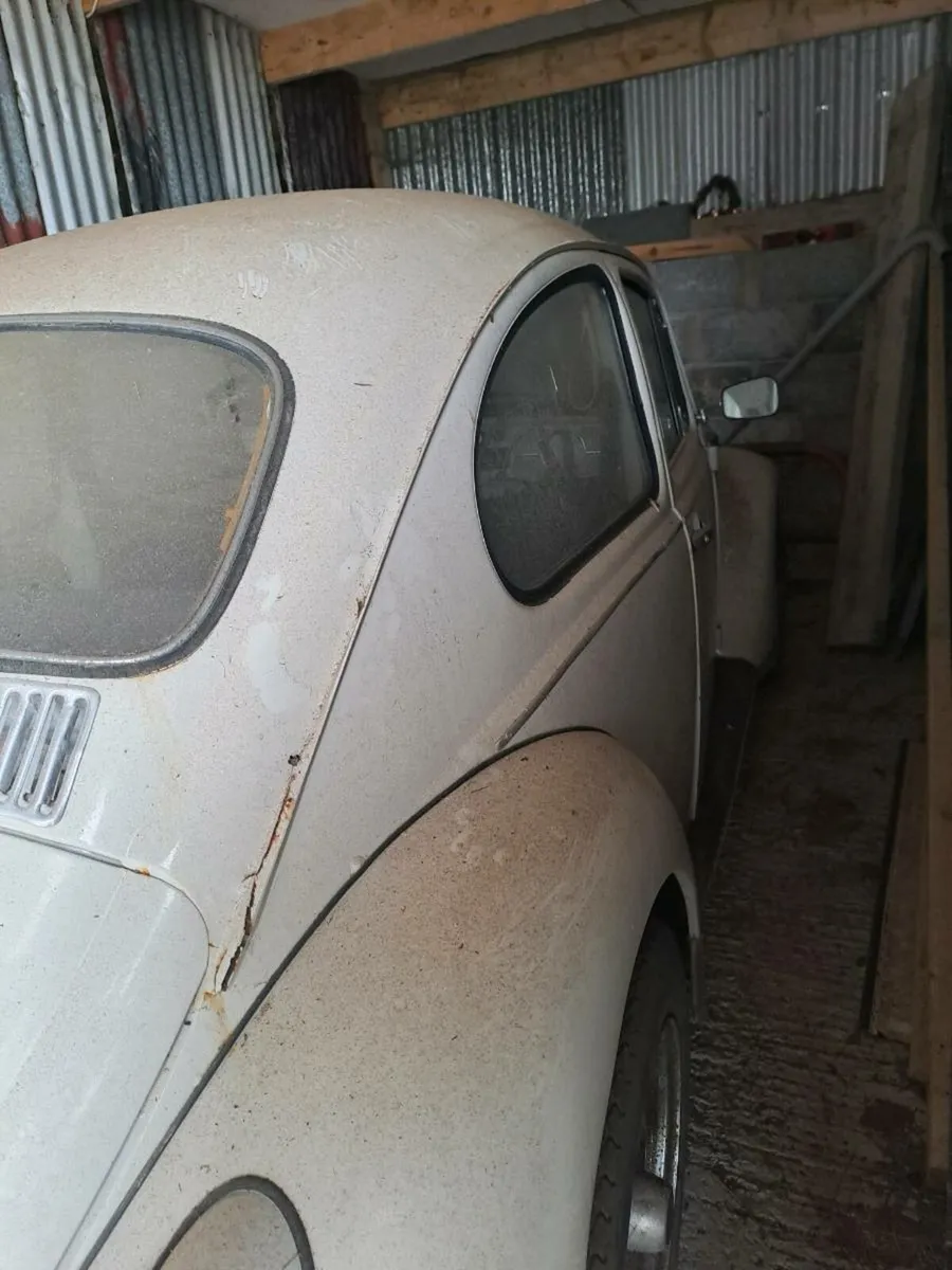 VW Beetle - Image 4