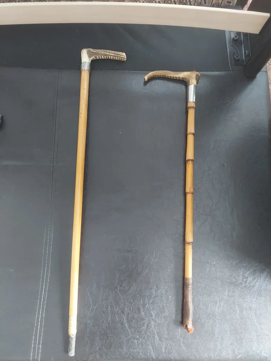 Antique Stag Handle Riding Crops - Image 1