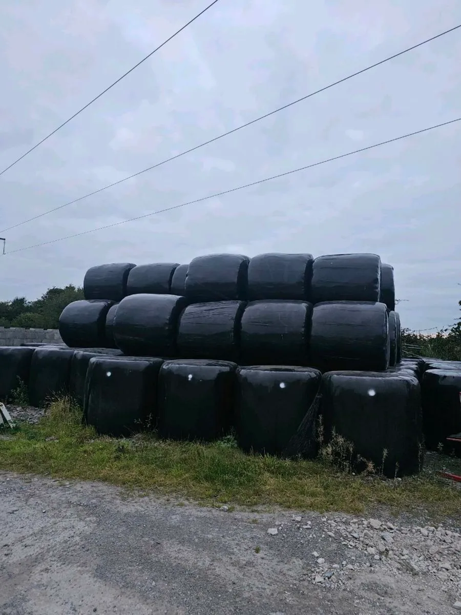 Silage bales - Image 1