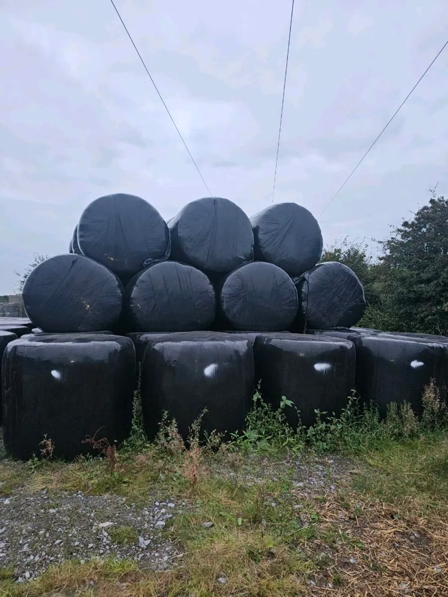 Silage bales - Image 2