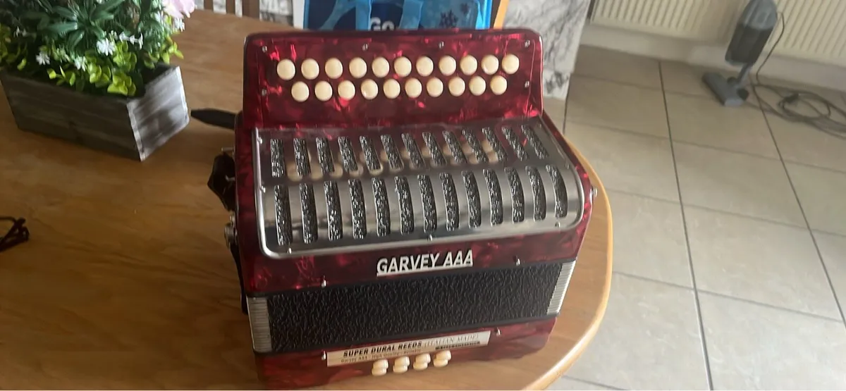 Accordion - Image 1