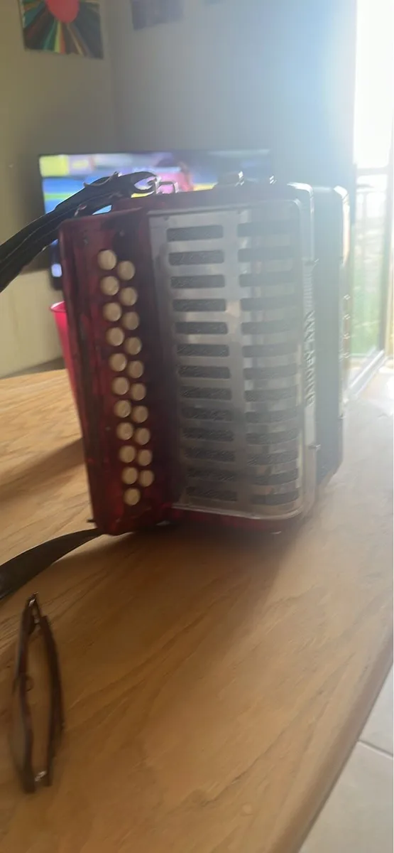 Accordion - Image 2