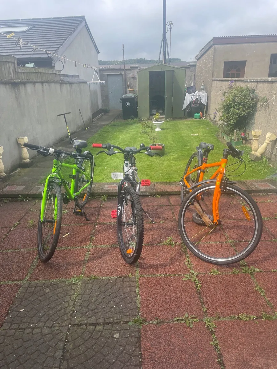 Bike - Image 2