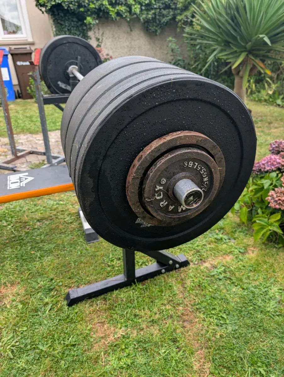 Gym equipment  shed clear out must go today - Image 4