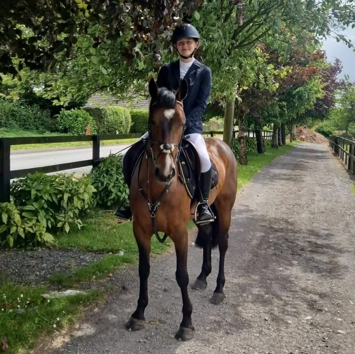🌟 138cm Pony Club Pony 🌟 - Image 1