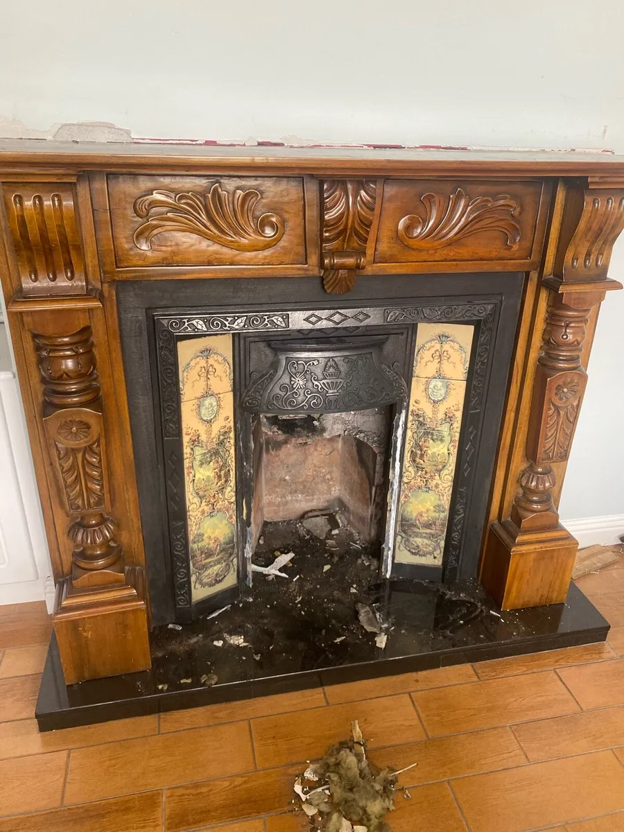 Fireplace surround and insert - Image 1