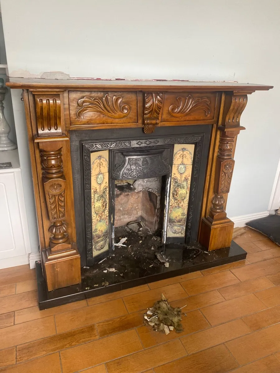 Fireplace surround and insert - Image 2