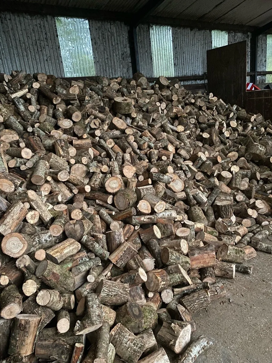 Firewood - Image 1