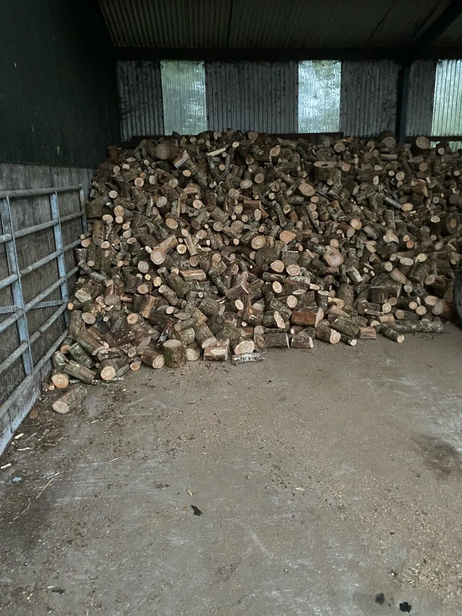 Firewood - Image 2