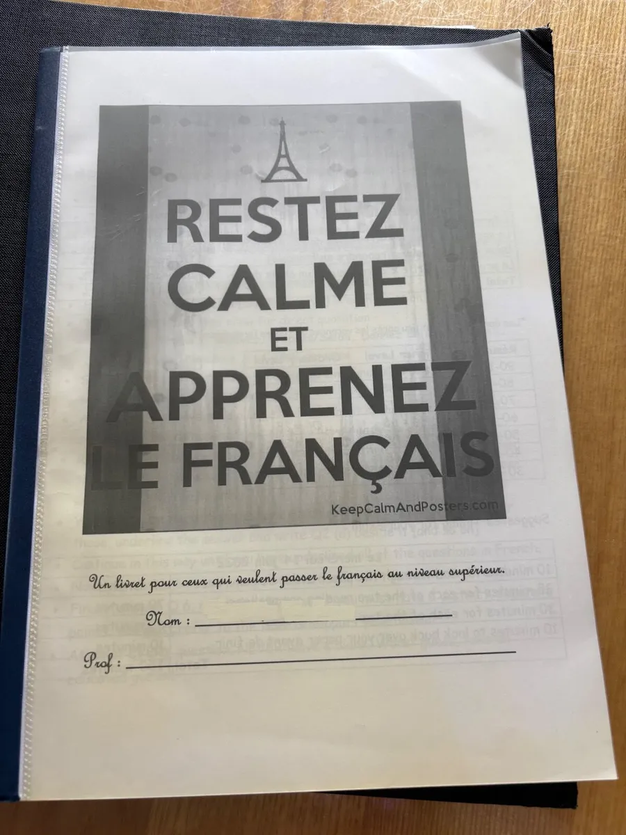 H1 French Leaving Cert Notes - Image 1