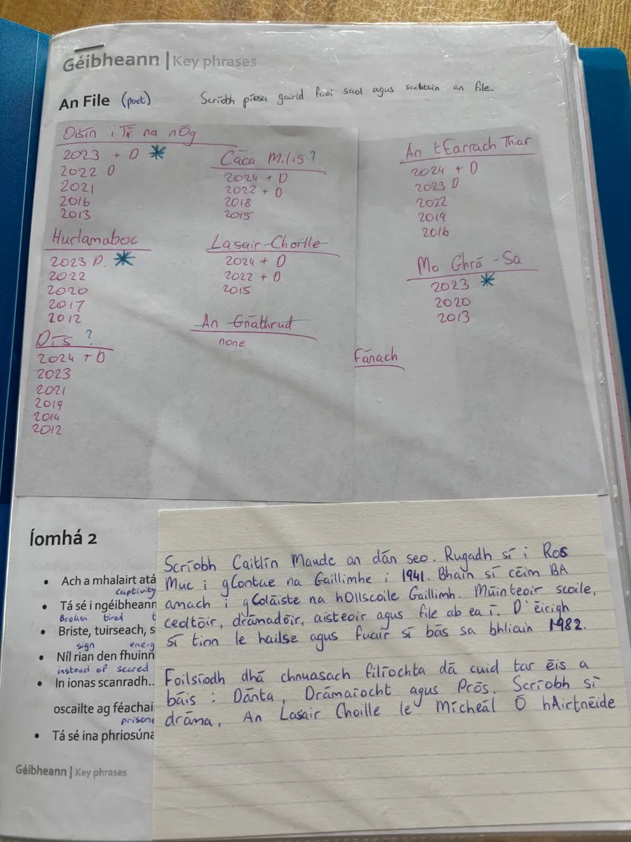 H1 Higher Level LC Irish Notes - Image 1