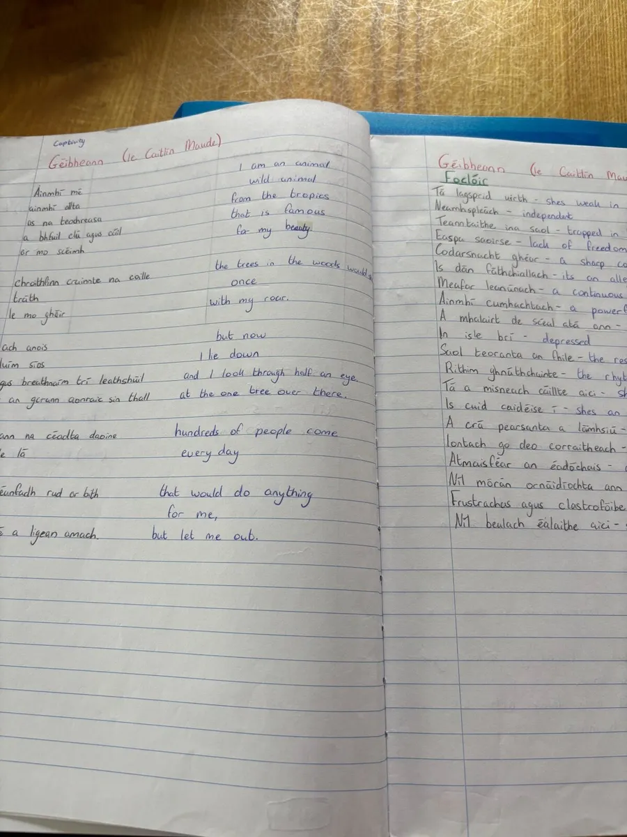 H1 Higher Level LC Irish Notes - Image 2