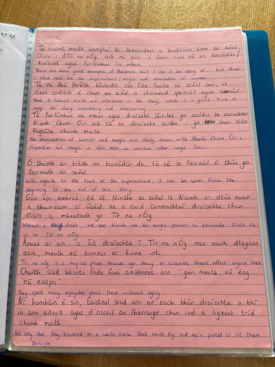 H1 Higher Level LC Irish Notes - Image 3