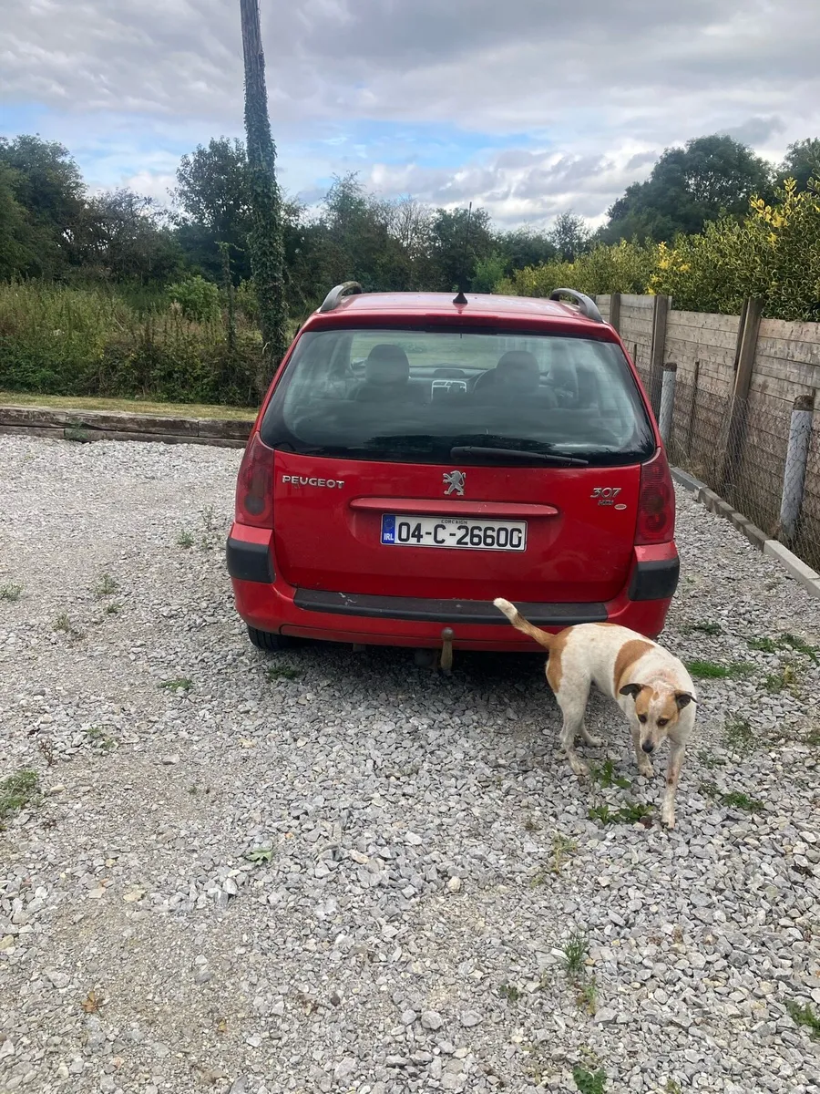 2004 Peugeot 307 1.4 - Image 3