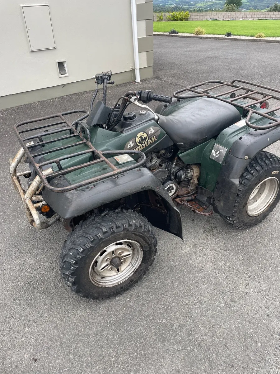 Yamaha kodiac - Image 1