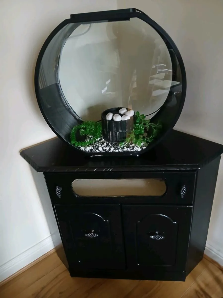 Fish tank black