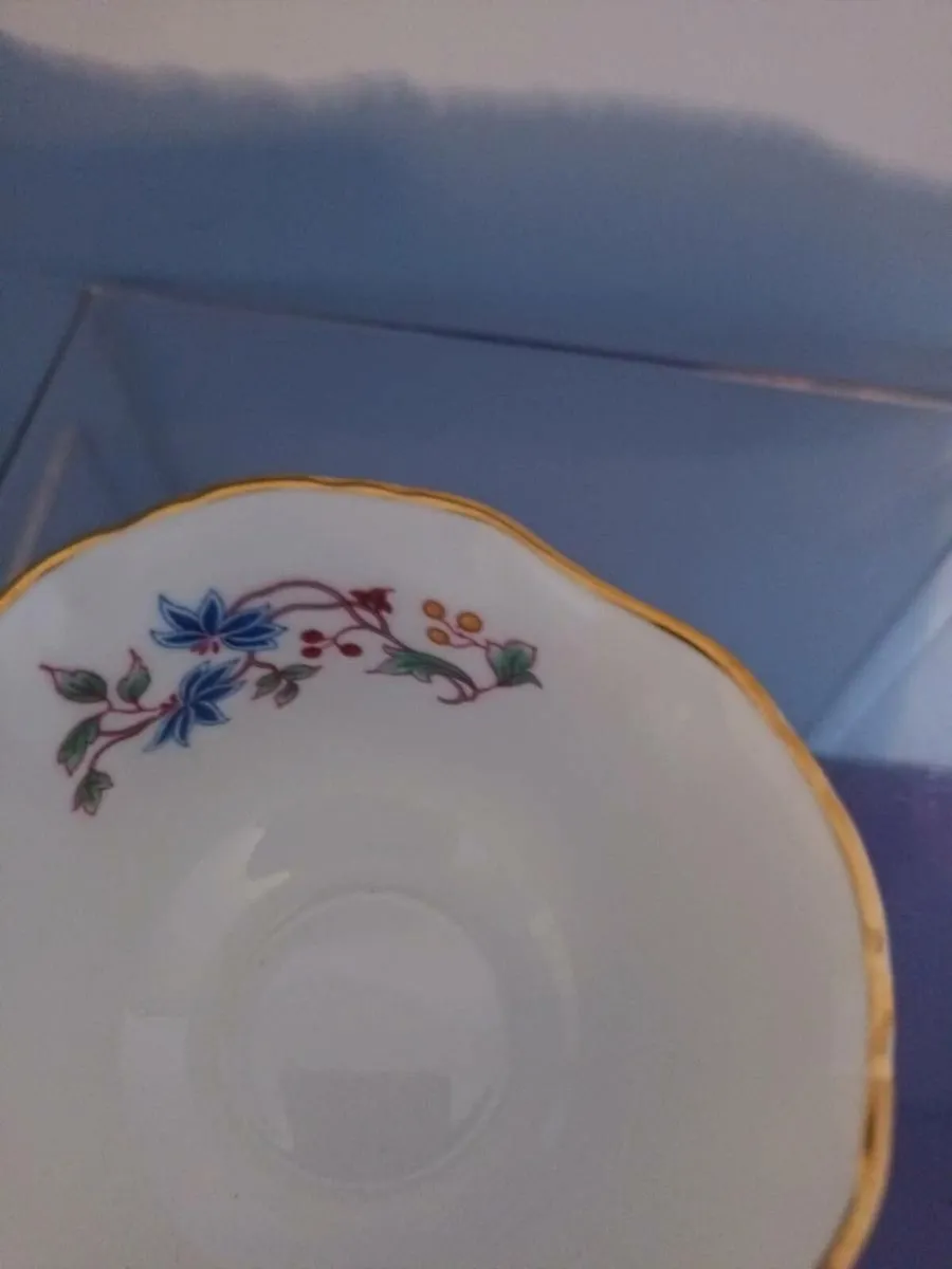 HAMMERSLEY "Bird of Paradise" pattern Bowl - Image 2