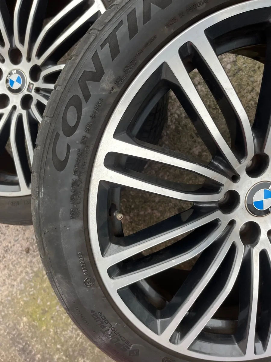 BMW alloys - Image 2