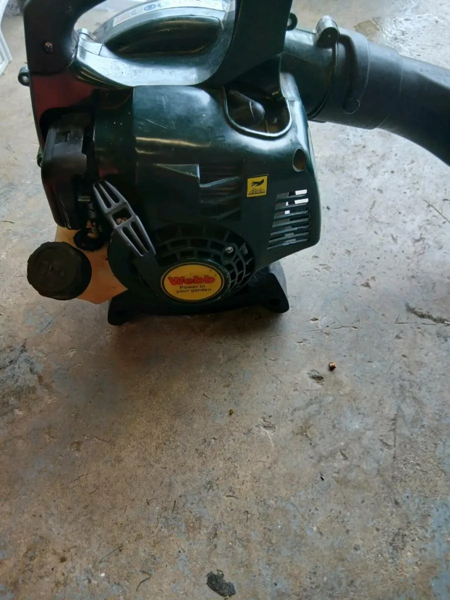 Blowers - Image 1