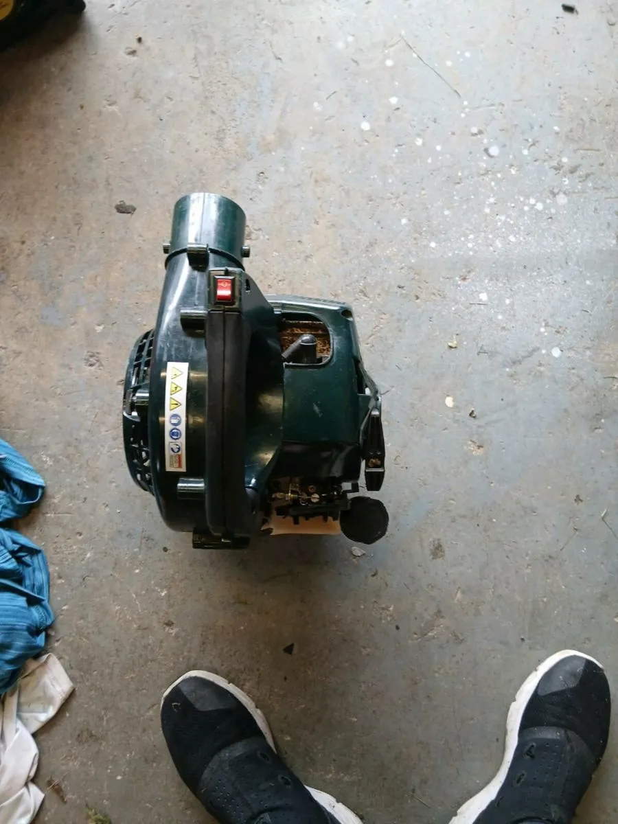 Blowers - Image 3