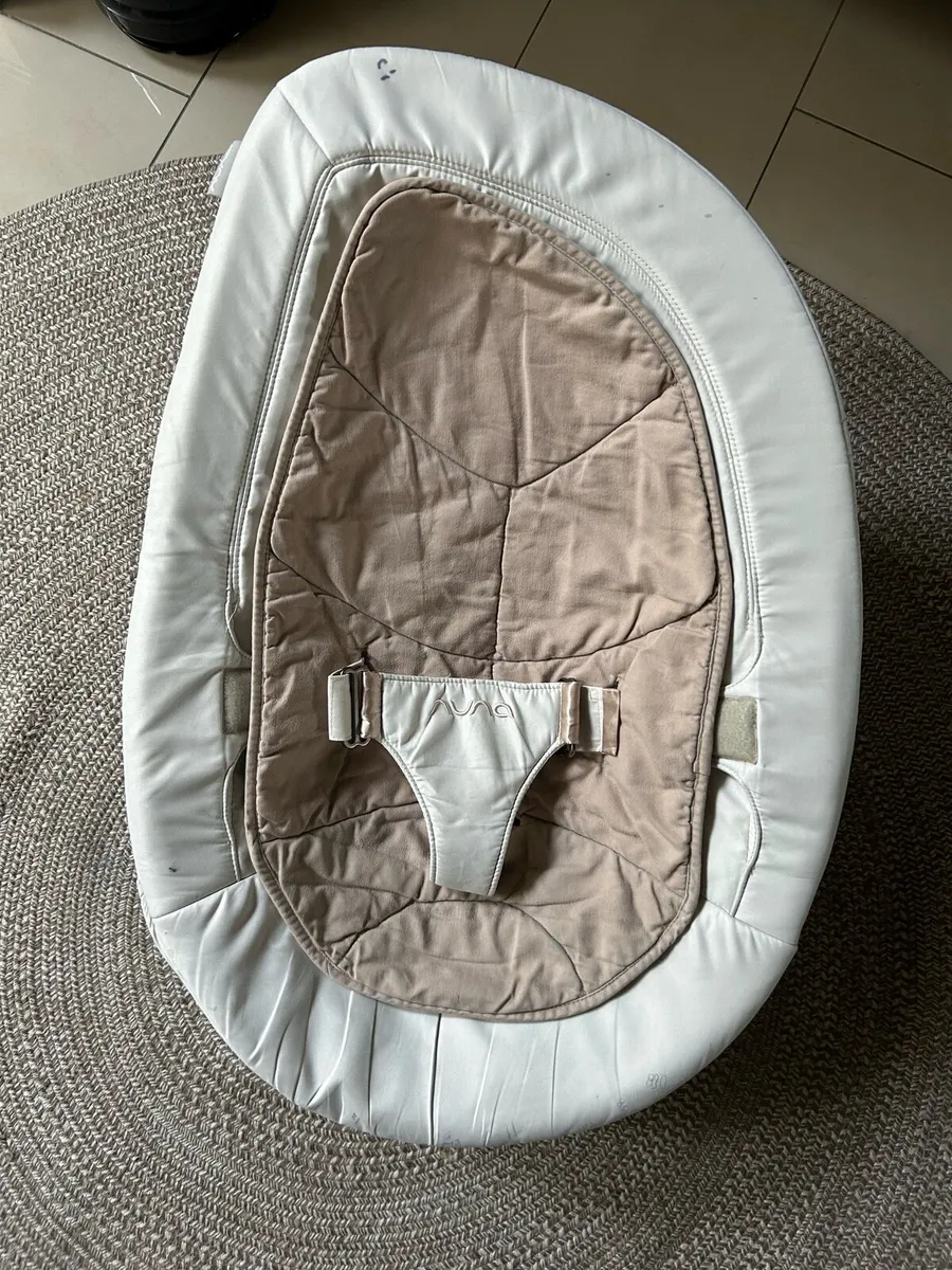 Baby\child Swing, Nuna - Image 2