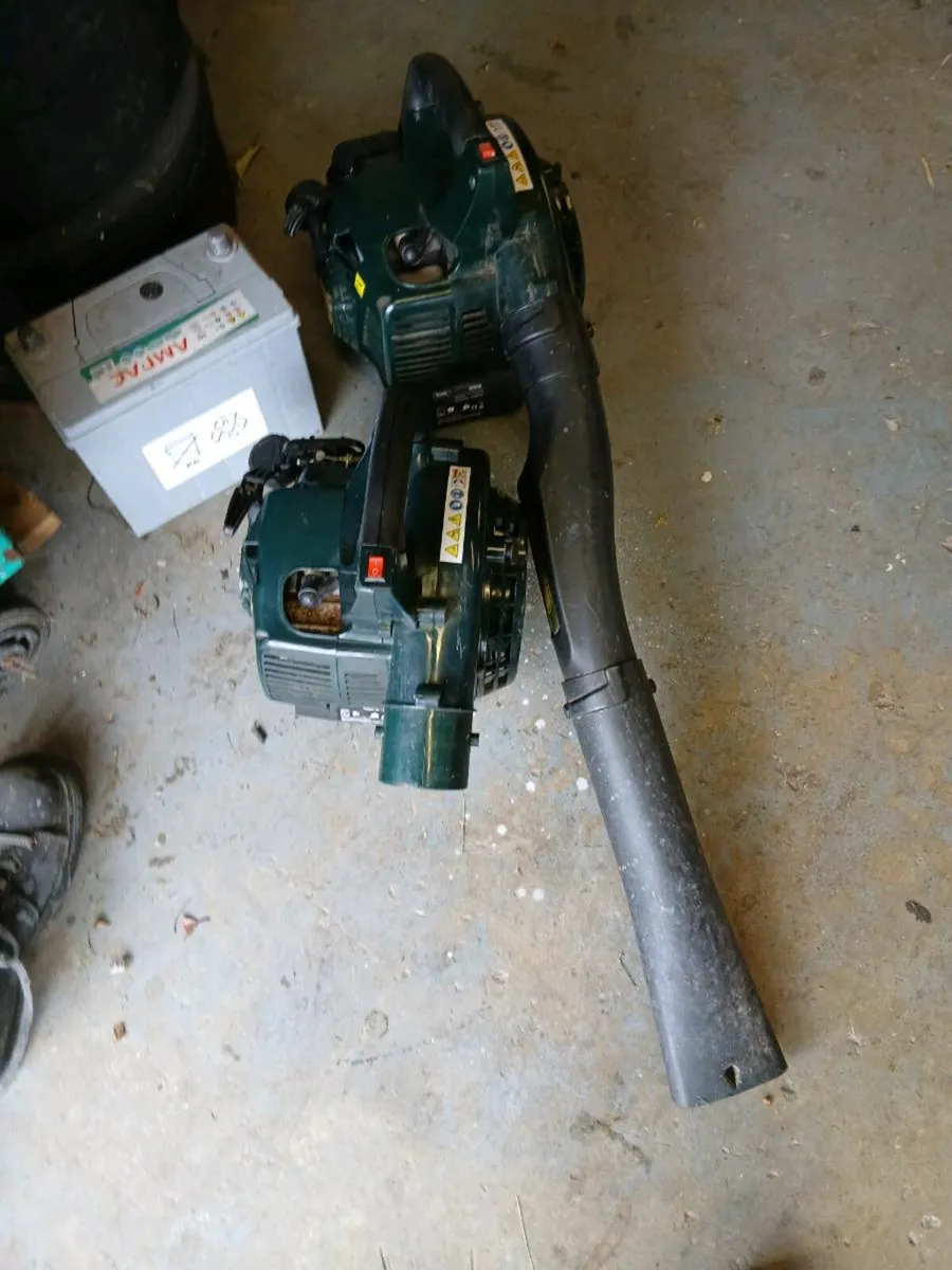 Blowers - Image 4