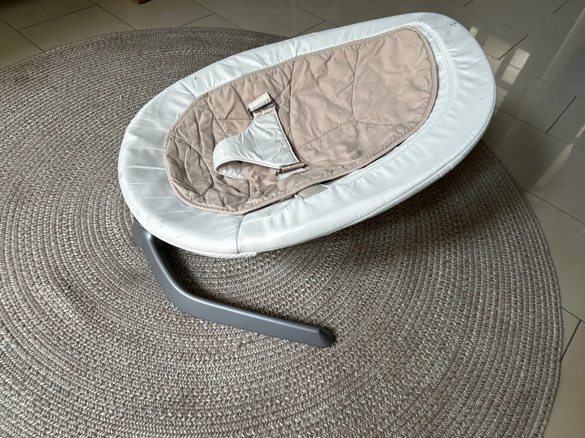 Baby\child Swing, Nuna - Image 1