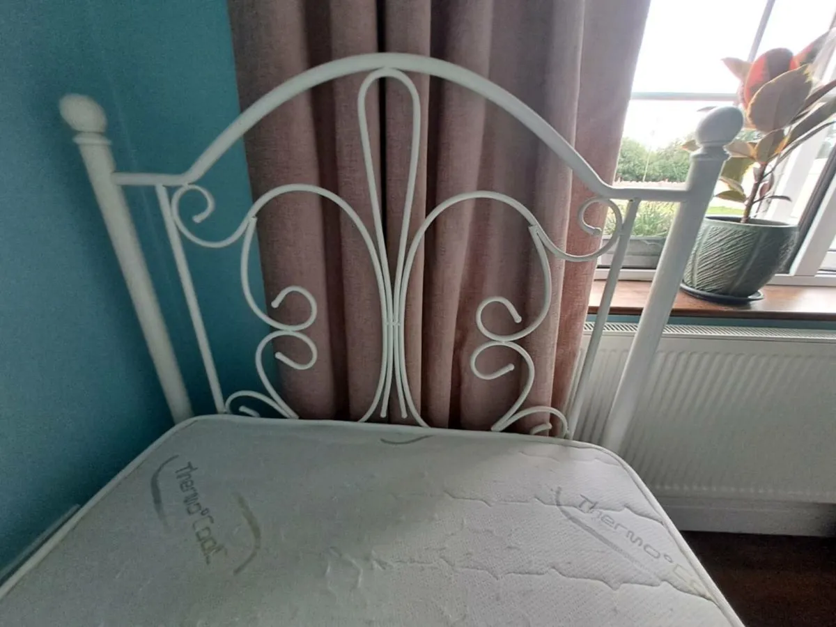 Single White Antique style metal bed - Image 4