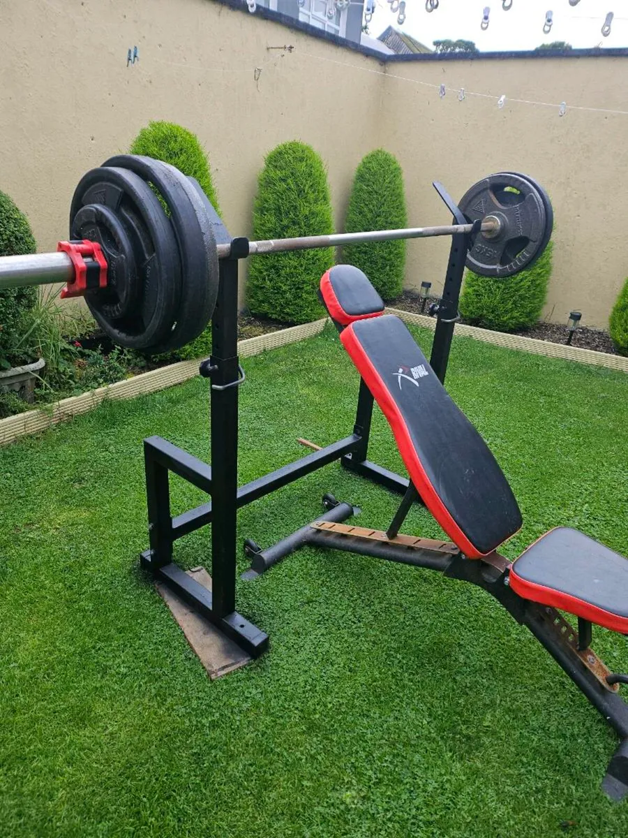 Weights - Image 1